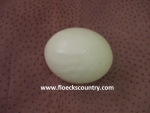 Fresh Large Bargain Ostrich Egg for Eating